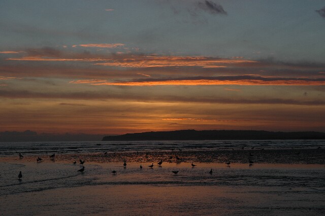 min 2007 11 25 camber plage 070